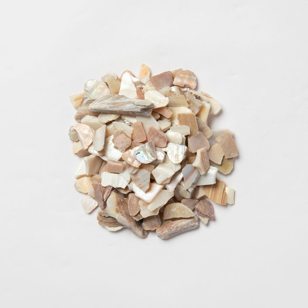 Shell Chips（Mother of perl) Perl（真珠貝）9-12㎜ – 株式会社